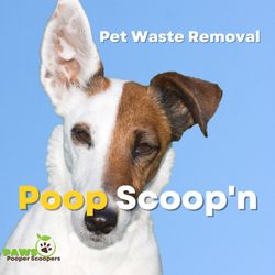 PAWS Pooper Scoopers - Website:
https://www.pawspooperscoopers.com
Find us on Google Maps:
https://goo.gl/maps/tkkFpVtJGFdLGLe9A
