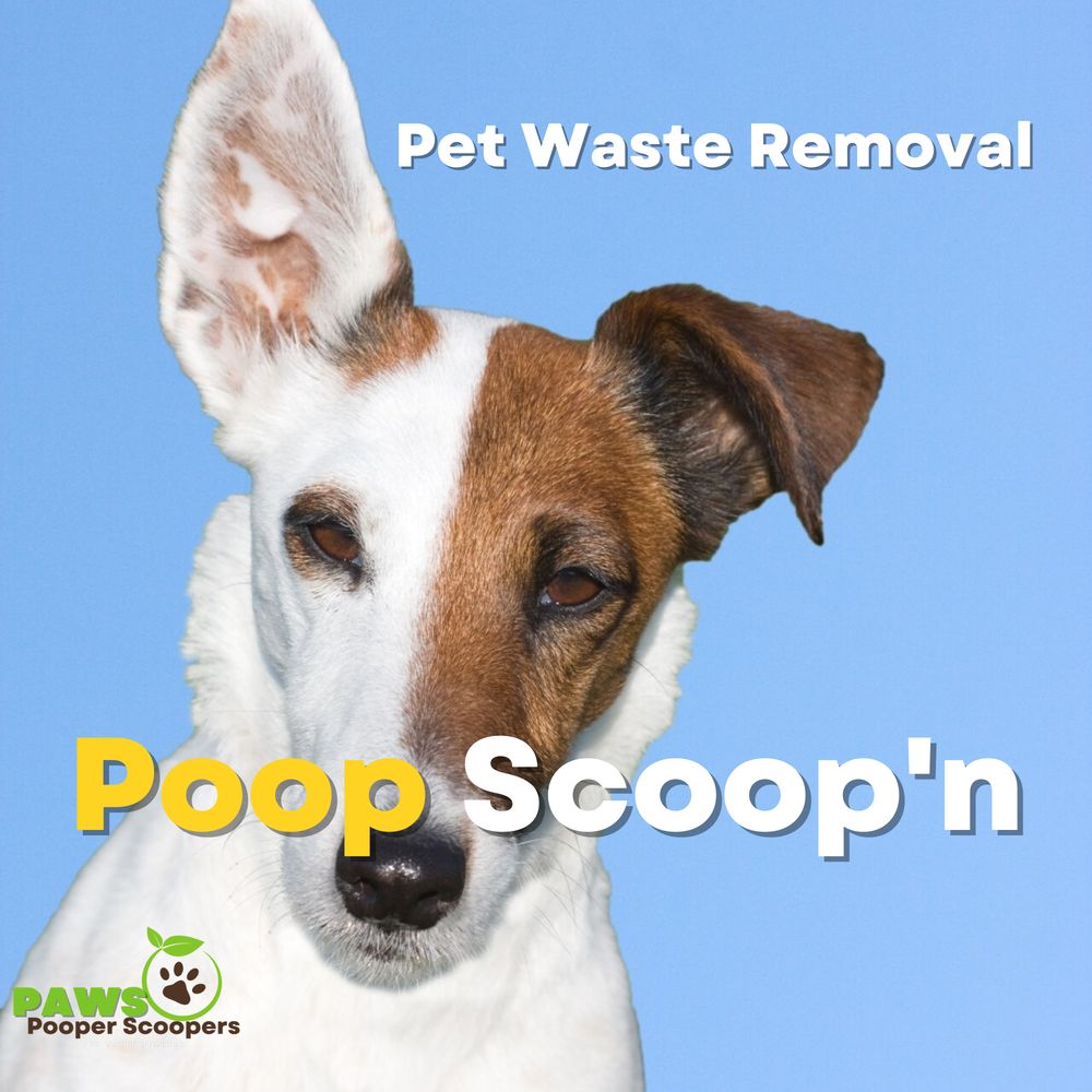 PAWS POOPER SCOOPERS Updated July 2024 82 Photos 4329 Laguardia
