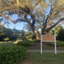 Photo of Lisbon Park