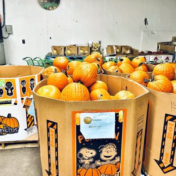 Gentile's Fruit Market - Gentile's - Fruits & Veggies Near Me - Newtown Square, Pennsylvania Gentile's Fruit Market - Gentile's - Fruits & Veggies Near Me - Newtown Square, Pennsylvania