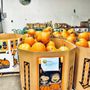 Photo of Gentile's Fruit Market