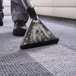 Economical Carpet Care