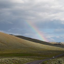Lamar Valley - Rainbow in the valley 2023
