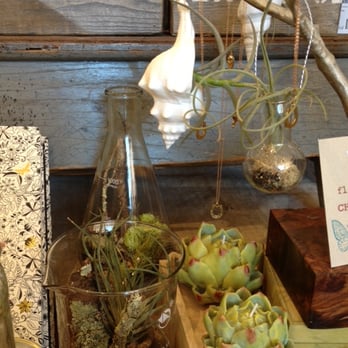 Jackson & Polk - air plants, sea shells, artichoke candles & every great coffee table book you will ever need - Jewelry Near Me - San Francisco, California Jackson & Polk - air plants, sea shells, artichoke candles & every great coffee table book you will ever need - Jewelry Near Me - San Francisco, California