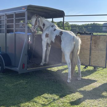 Wave Horsemanship - Trailer loading - Pet Training Near Me - Cedar, Michigan Wave Horsemanship - Trailer loading - Pet Training Near Me - Cedar, Michigan