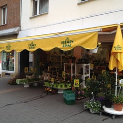 Blumen Risse