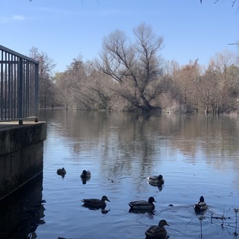 NILES COMMUNITY PARK - Updated October 2025 - 263 Photos & 42 Reviews