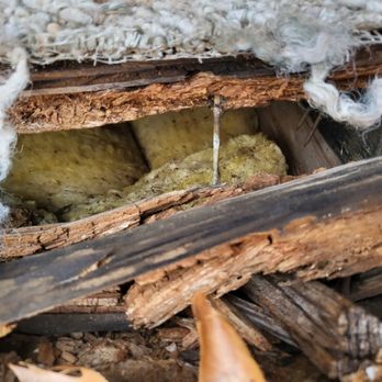 Bigfoot Construction - a piece of wood that has been torn down - General Contractors Near Me