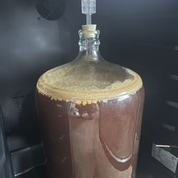 Stein Fillers - Fermenting temperature is regulated by an Inkbird thermostat, also sold at Stein Fillers.
