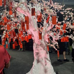 Asian Cultural Festival