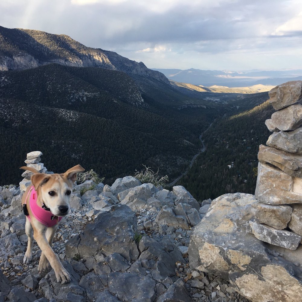 Cathedral Rock - Hiking Near Me - Mt Charleston, Nevada