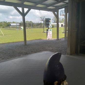 Greenwood Gator Farm - Walking Tours Near Me - Gibson, Louisiana