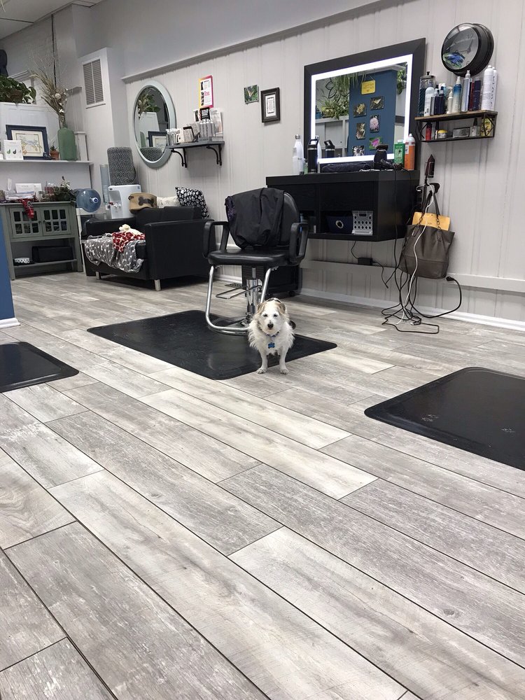 Hair Innovations Logo