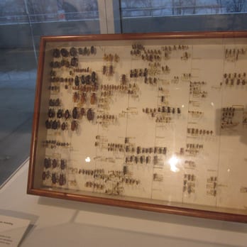 New Jersey State Museum - Insects - Museums Near Me - Trenton, New Jersey