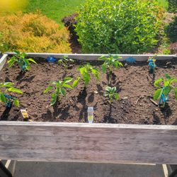 Condurso's Garden Center & Farm Market