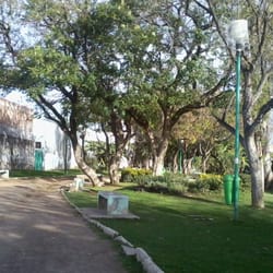Parque México