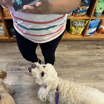 Two Pals & A Pup - Lucy approves - Pet Stores Near Me - Denver, Colorado