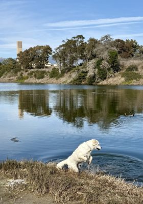 University of California, Santa Barbara by null