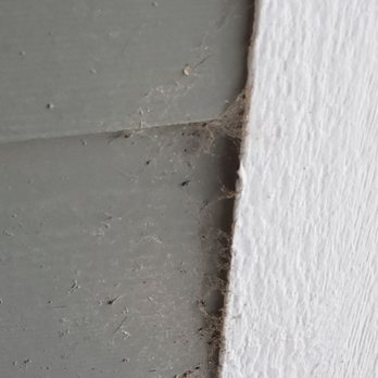 EcoShield Pest Solutions - Pest Control Near Me - Englewood, Colorado