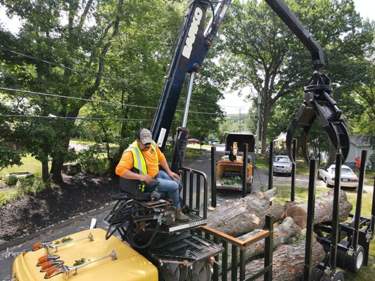 Tree Services, Land Clearing, and Firewood - we do it all! - Call or Text 860-940-5783! From Tree Services, Land Clearing, and Firewood - we do it all! Tree Services, Land Clearing, and Firewood - we do it all! - Call or Text 860-940-5783! From Tree Services, Land Clearing, and Firewood - we do it all!