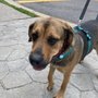 Photo of Clifton-Centreville Animal Clinic