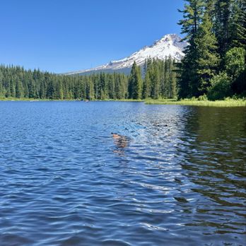 Trillium Lake - Lakes Near Me - Government Camp, Oregon Trillium Lake - Lakes Near Me - Government Camp, Oregon