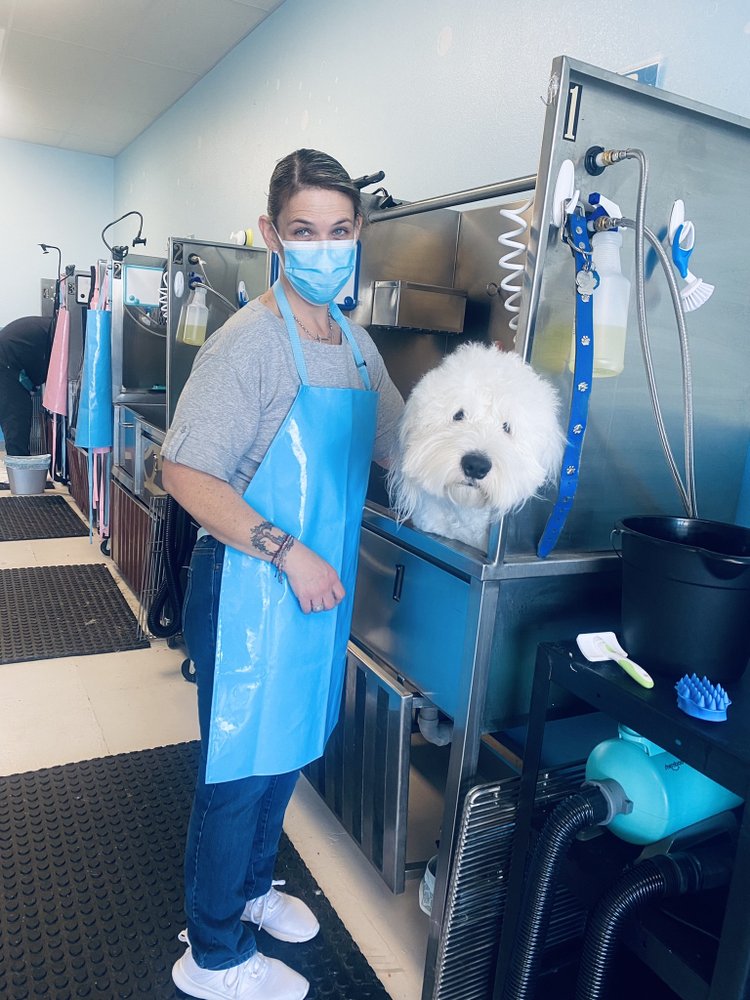 DOG LOVERS GROOMING & SELFSERVE DOG WASH 13 Photos Pet Groomers