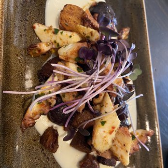 SOCIAL BIRD - Share: grilled octopus - Gastropubs Near Me - Lafayette, California SOCIAL BIRD - Share: grilled octopus - Gastropubs Near Me - Lafayette, California