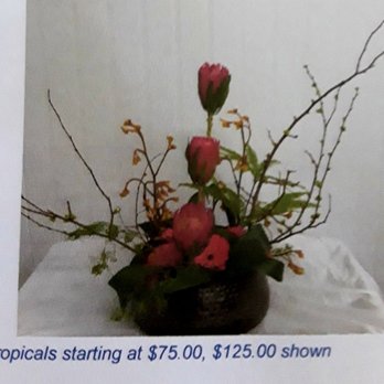 Ralston Florist - Florists Near Me - San Jose, California Ralston Florist - Florists Near Me - San Jose, California