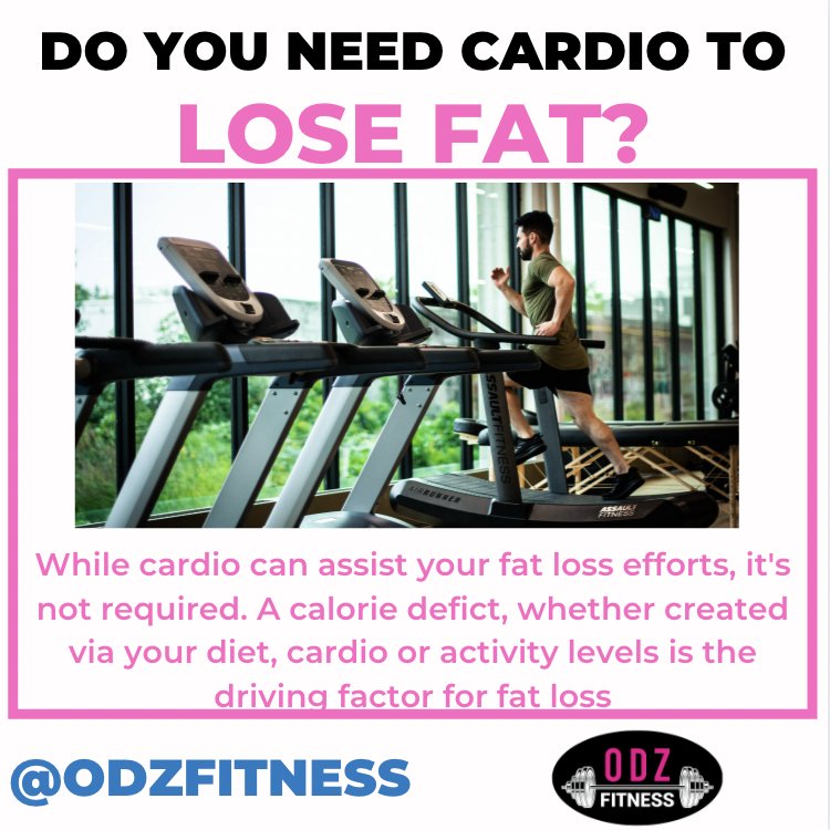 ODZ Fitness Logo
