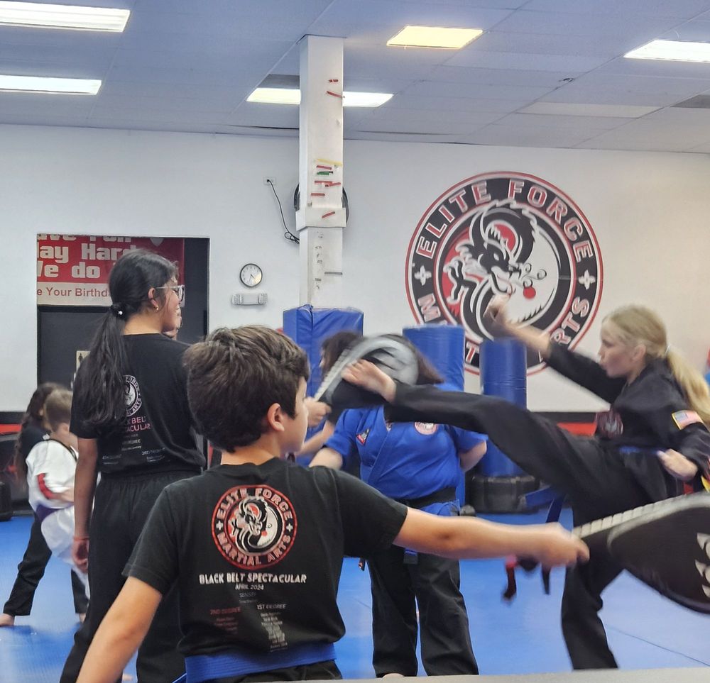 Elite Force Martial Arts Logo