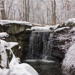 Official Central Park Tours - A cascade in the Ravine landscape of Central Park in the winter.