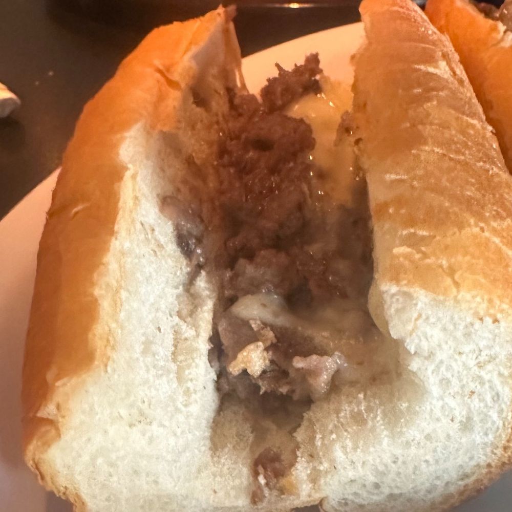 Terrible Cheesesteak Terrible Cheesesteak
