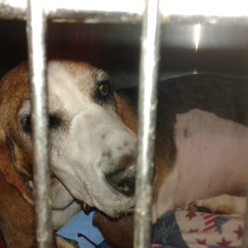 EveryPet - Veterinarians Near Me - Jacksonville, Florida EveryPet - Veterinarians Near Me - Jacksonville, Florida