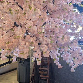 Hibachi Supreme Buffet - Cherry blossom tree - Asian Fusion Near Me - North Las Vegas, Nevada Hibachi Supreme Buffet - Cherry blossom tree - Asian Fusion Near Me - North Las Vegas, Nevada