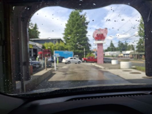 Elephant Car Wash by null