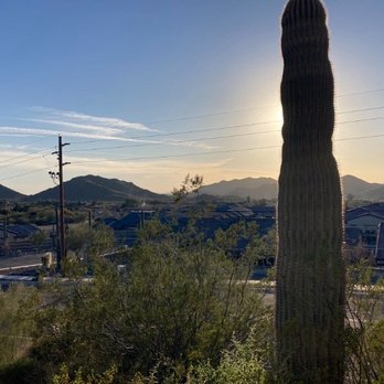 Desert Foothills Library - Parking lot view - Libraries Near Me - Cave Creek, Arizona Desert Foothills Library - Parking lot view - Libraries Near Me - Cave Creek, Arizona