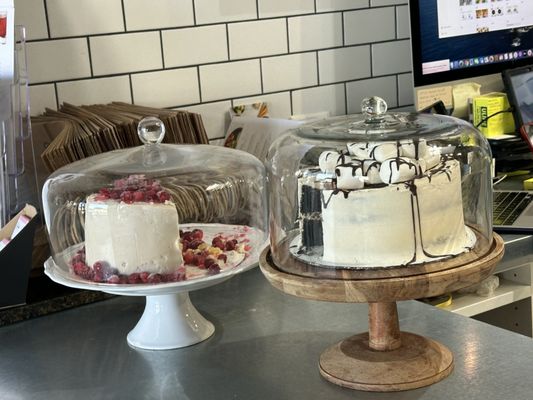 Gracefully Fed by null