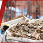 Photo of Cut Rate Junk Removal