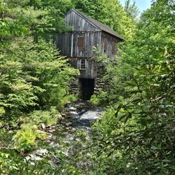 Moore State Park - Mill