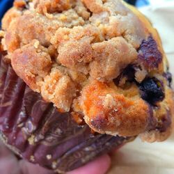 Bell Park Deli - Blueberry crumb