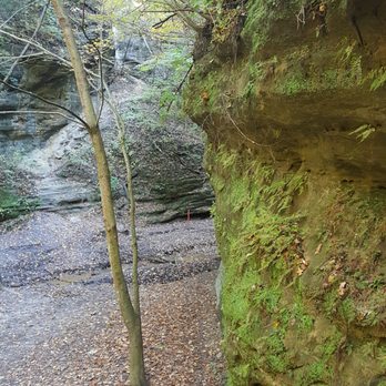 Matthiessen State Park - Heading to Cascade Falls in the lower Dells in Matthiessen State Park - Parks Near Me - Oglesby, Illinois Matthiessen State Park - Heading to Cascade Falls in the lower Dells in Matthiessen State Park - Parks Near Me - Oglesby, Illinois
