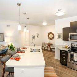 Avenue C Apartments - Open Kitchen and Living Room