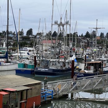 Ocean Suites - Hotels Near Me - Brookings, Oregon