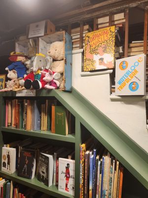 The Book Lady Bookstore by null