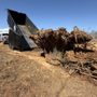 Photo of Foothills Land Solutions