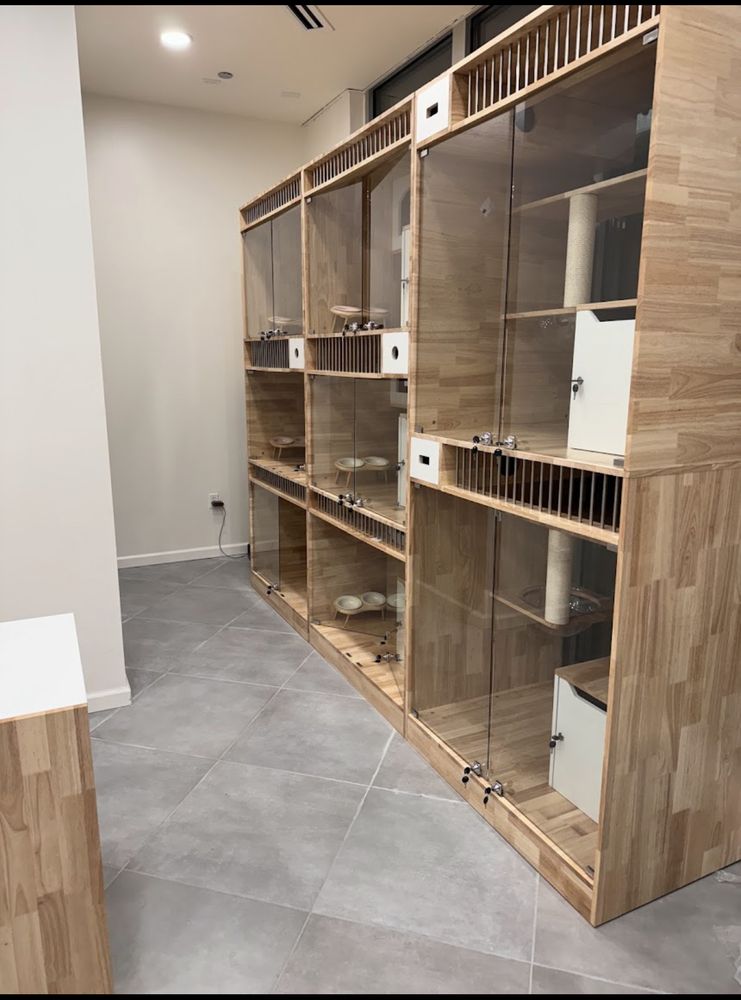 Catstle - pet boarding facility in Chicago, IL
