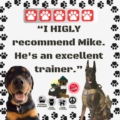 "I HIGHLY recommend Mike. He's an excellent trainer." - Grooming & Shampoos Potty Training Leash Training Energy Training Dogs Pets Training Behavioral Training For Your Fur Babies Dog Training "I HIGHLY recommend Mike. He's an excellent trainer." - Grooming & Shampoos Potty Training Leash Training Energy Training Dogs Pets Training Behavioral Training For Your Fur Babies Dog Training