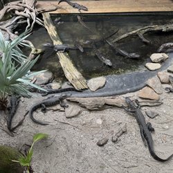 St. Augustine Alligator Farm Zoological Park