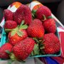 Photo of Springs Farm Market